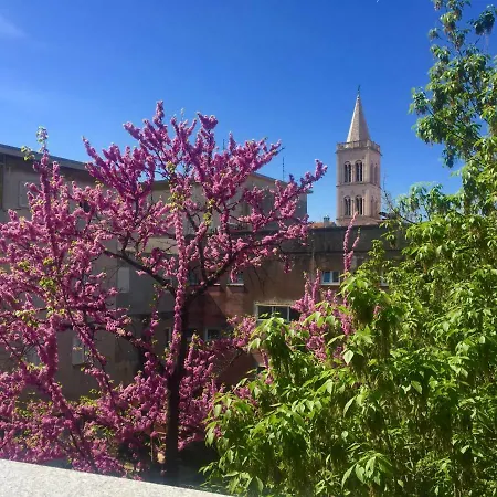 Royal View Apartman Zára