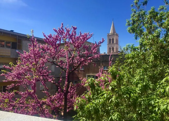 Royal View Διαμέρισμα Ζαντάρ